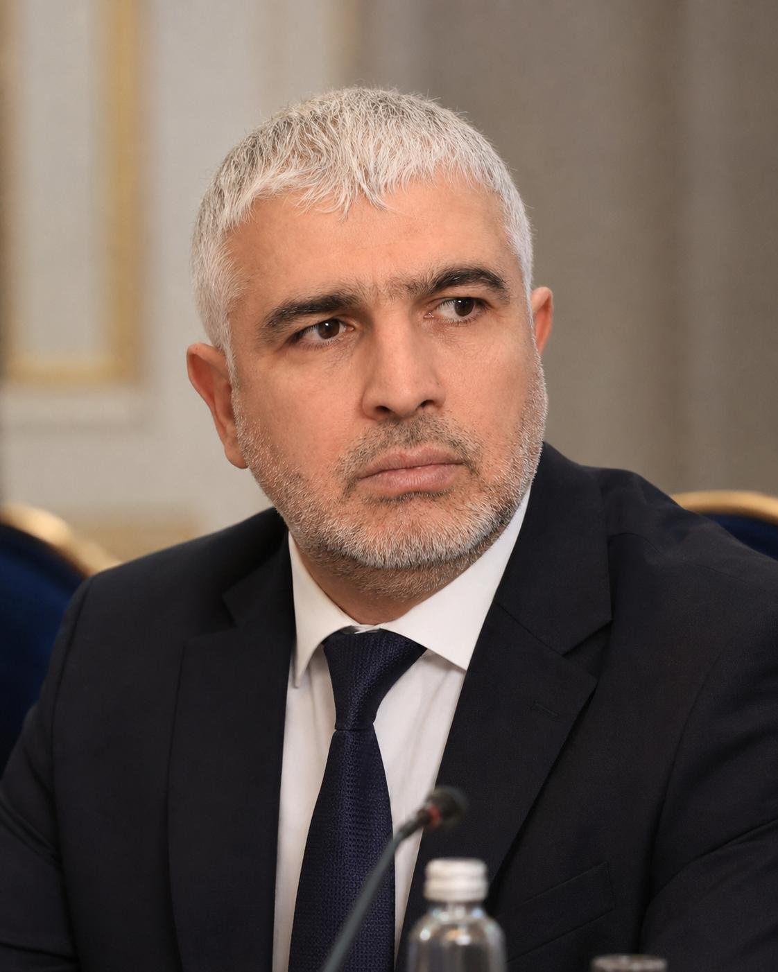 Rovshan V. Barkhudarov